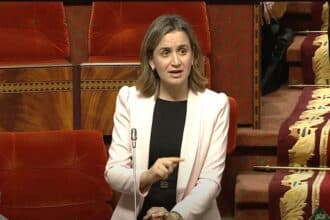 Lancement prochain d'un portail unifié pour l'accès aux services publics en ligne