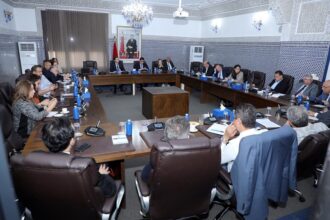 Polémique Fortescue : le PAM soutient Leila Benali