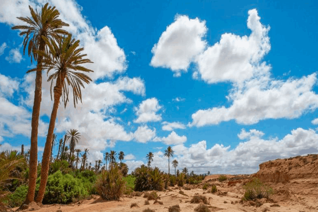 Pourquoi la région de Tata est si exposée aux risques d'inondations