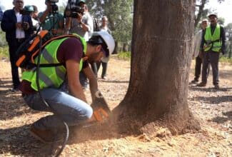 L'ANEF lance un programme de modernisation et de professionnalisation de la récolte du liège