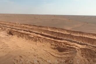 Le Military Moroccan Forum a détecté &ldquo;une réplique du mur des Sables marocain&rdquo; à Tindouf