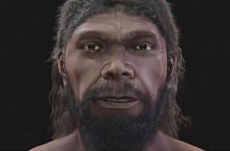 Découvert à Jebel Irhoud, l'homme le plus ancien jamais connu a enfin un visage