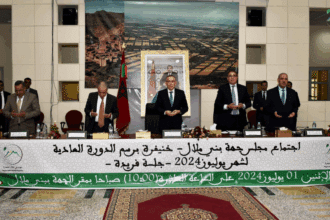 Zone industrielle de Bni Ykhlef : création de la  joint-venture avec le chinois Holley Global