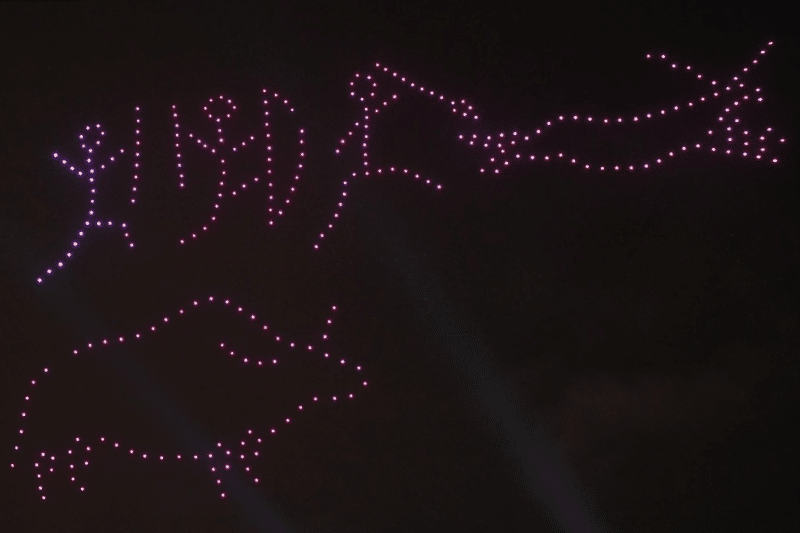 Casablanca accueille une exposition de fossiles archéologiques restitués au Maroc