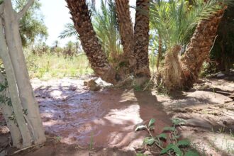 Un plan d'urgence pour réparer les dégâts causés par les dernières pluies sur les infrastructures agricoles