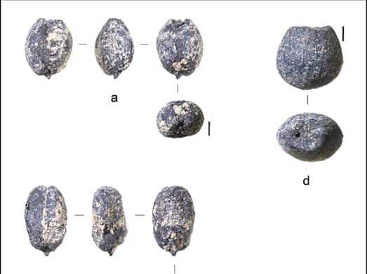 À Oued Beht, des archéologues découvrent l'une des plus antiques &ldquo;sociétés agricoles&rdquo;