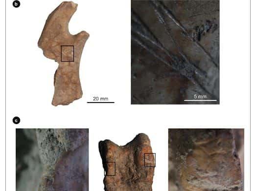 À Oued Beht, des archéologues découvrent l'une des plus antiques &ldquo;sociétés agricoles&rdquo;