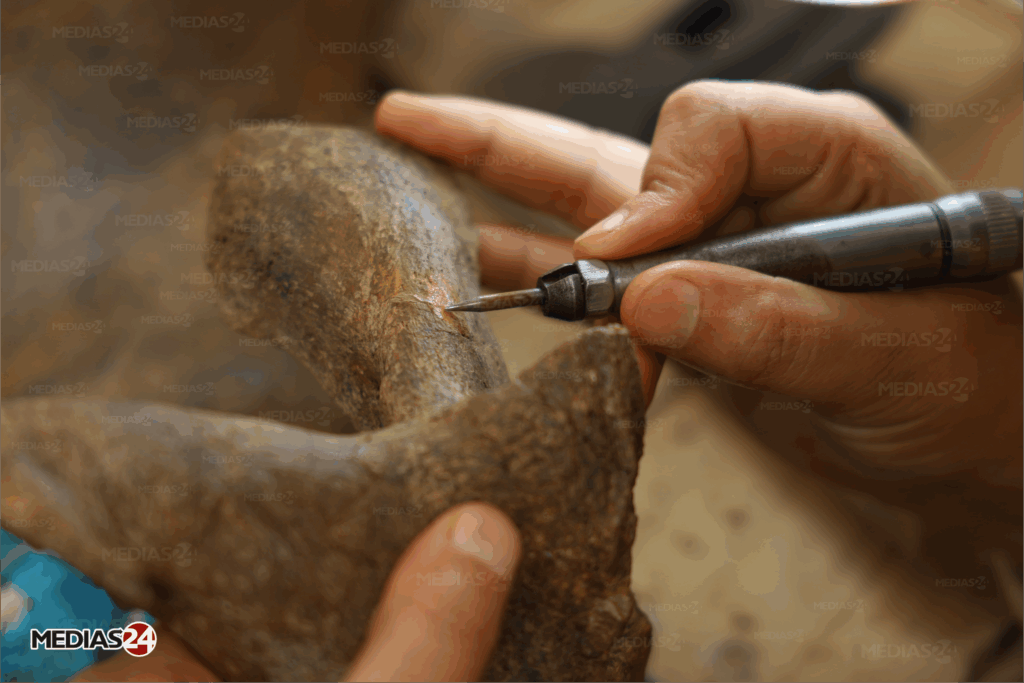 ENQUÊTE. La ruée vers l'os, ou le commerce de fossiles au Maroc (1/3)