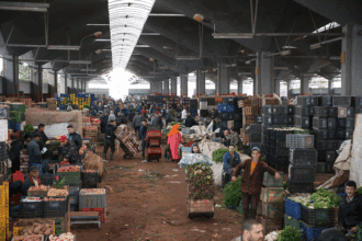 Marché de gros de Casablanca : baisse du prix des viandes rouges