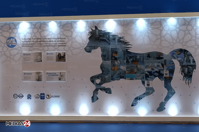 Près de 200.000 visiteurs à la 15e édition du Salon du cheval d'El Jadida