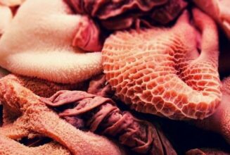 Les abats n'échappent pas à la flambée des prix de la viande rouge au Maroc