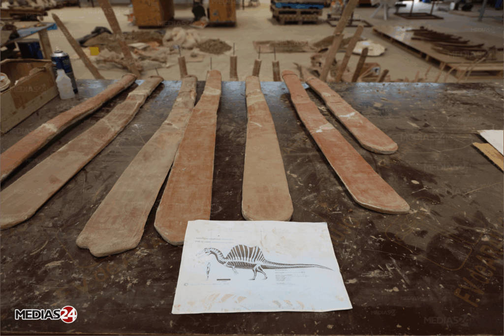 Fossiles. Serait-il possible de valoriser ce commerce au Maroc ?