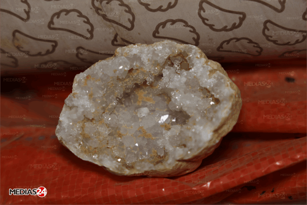 Fossiles. Serait-il possible de valoriser ce commerce au Maroc ?