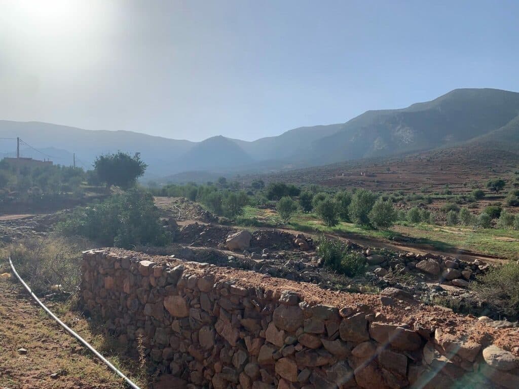 Mines. Royal Road Minerals abandonne le projet d’exploration d’Alouana (provinces de Guercif et Taourirt)