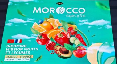 Une vingtaine d'importateurs français de fruits et légumes en mission de prospection à Agadir