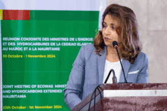 Gazoduc Atlantique Africain : l'accord intergouvernemental validé pour une signature au plus tard au premier trimestre 2025