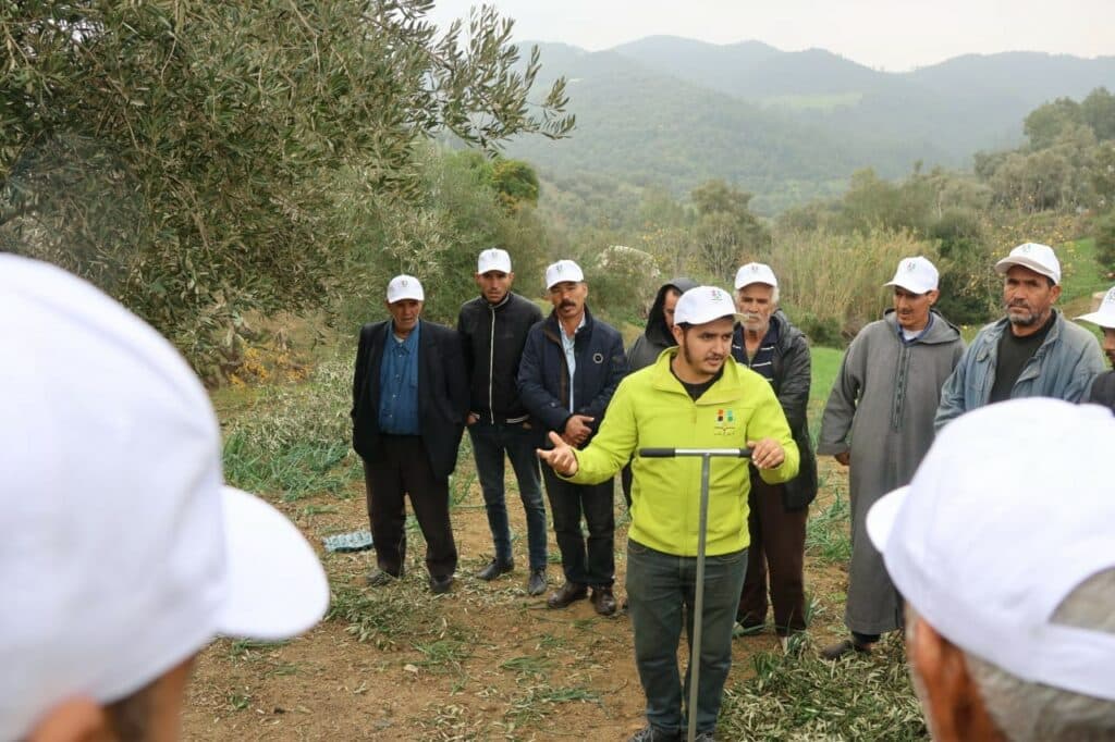 Oléiculture. Bilan de la campagne et du programme Al Moutmir