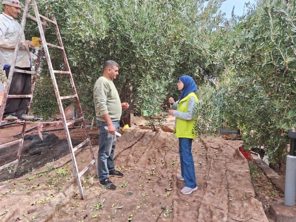 Oléiculture. Bilan de la campagne et du programme Al Moutmir