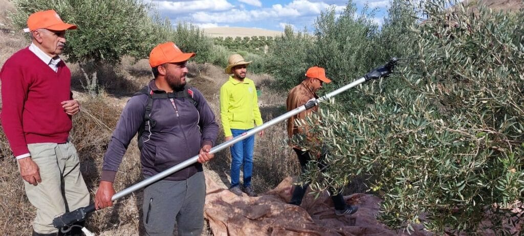 Oléiculture. Bilan de la campagne et du programme Al Moutmir