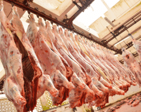 Prix de gros à Casablanca : nouvelle baisse pour les viandes mais loin de revenir aux niveaux de 2023