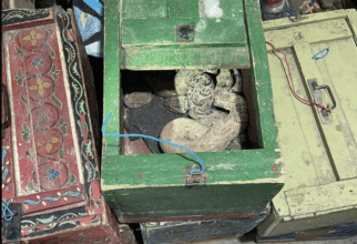 Trafic d’animaux : des cobras et des furets saisis à Nador et à Marrakech