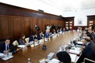 Premier Conseil d’orientation stratégique de l’Agence de développement du Haut Atlas