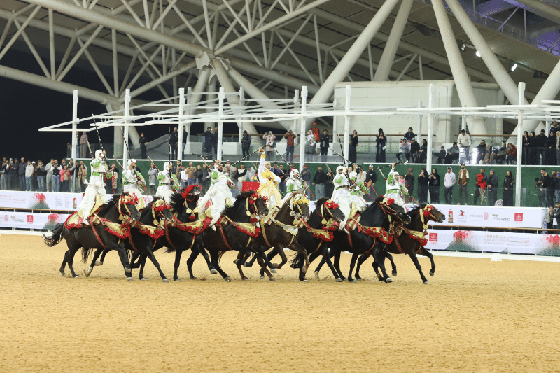 La Tbourida à l’honneur pour clore l’Année culturelle Qatar-Maroc 2024