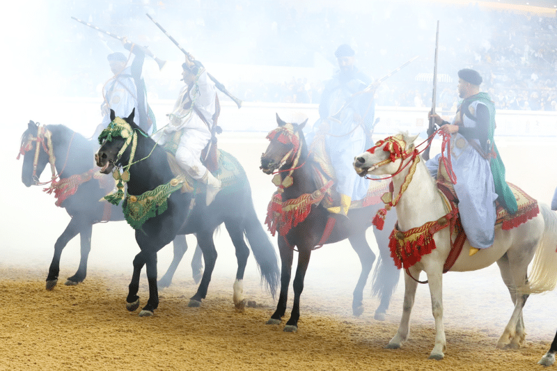 La Tbourida à l’honneur pour clore l’Année culturelle Qatar-Maroc 2024