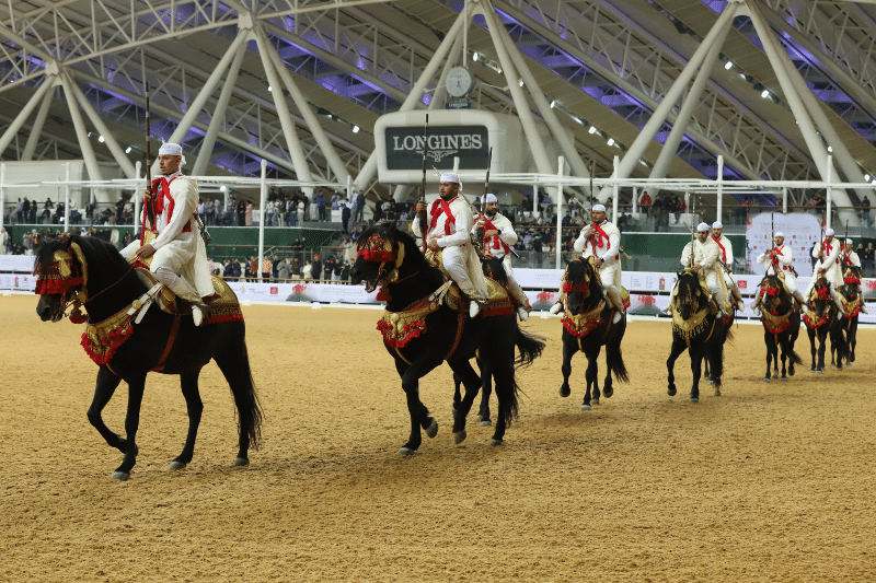 La Tbourida à l’honneur pour clore l’Année culturelle Qatar-Maroc 2024