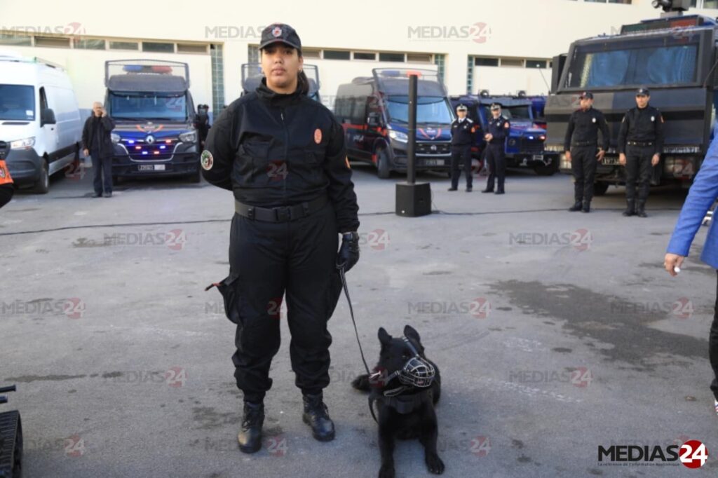 Nouvel An. Un dispositif de sécurité renforcé pour les fêtes de fin d'année