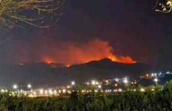 Incendie dans la forêt de Moklata à Tétouan