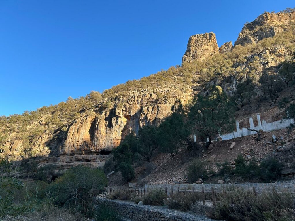 Fermée depuis 2020, un sort incertain pour la Grotte du Chameau et ses plus anciennes gravures rupestres d’Afrique du Nord