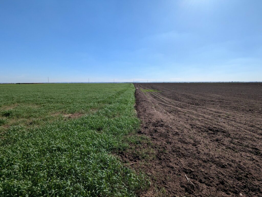 Reportage. À Berrechid, les agriculteurs s’adaptent tant bien que mal à la sécheresse