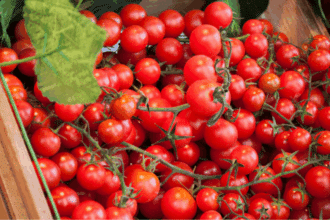 Le Conseil d’État français rejette une demande d'interdiction des importations marocaines en raison de l’étiquetage