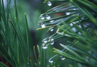 Voici les hauteurs de pluies des dernières 24 heures