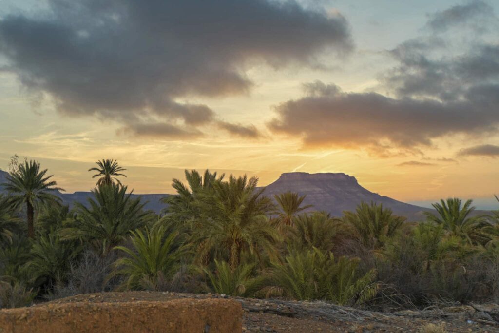 Les deux tiers du bureau exécutif du CRT de Draa-Tafilalet réclament le départ du président