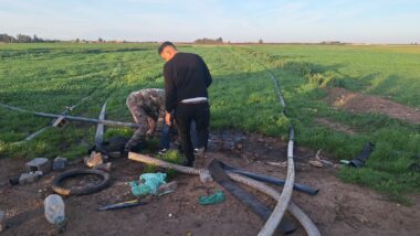 Cultures irriguées en eaux usées à Oulad Saleh : voici les premiers détails, la Justice saisie (source autorisée)