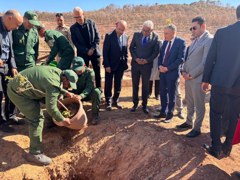 Un plan d’urgence pour restaurer et valoriser la forêt urbaine de Sidi Maâfa à Oujda