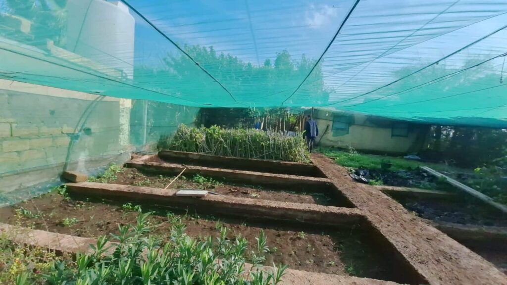 Irrigation en eaux usées à Oulad Saleh. Après les cultures, les pépinières..., une enquête en cours (source autorisée)