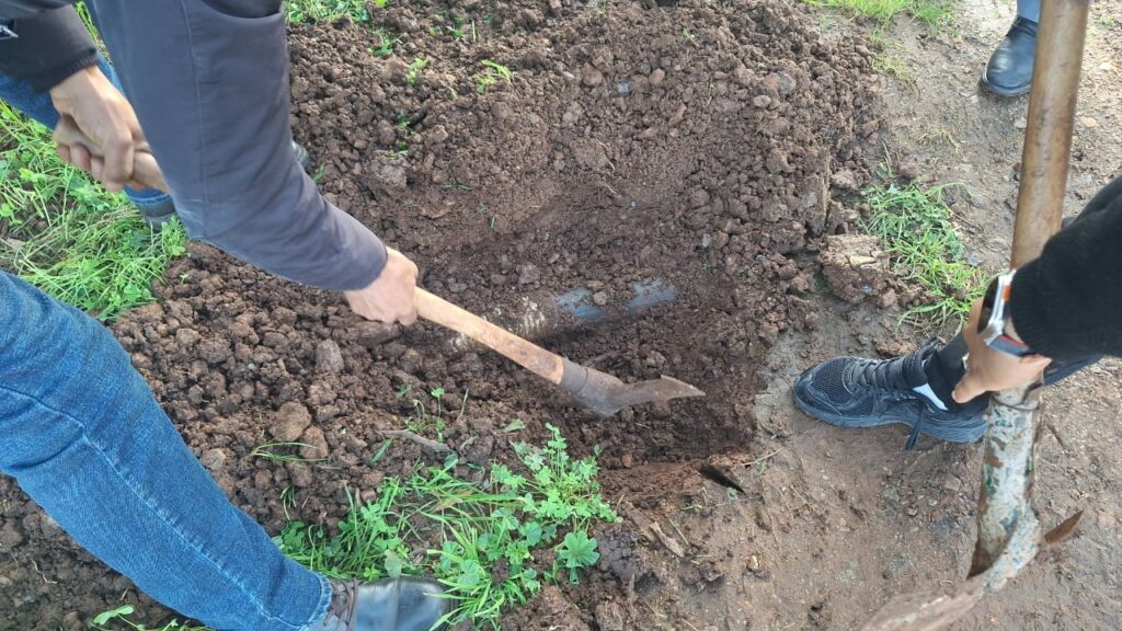 Irrigation en eaux usées à Oulad Saleh. Après les cultures, les pépinières..., une enquête en cours (source autorisée)