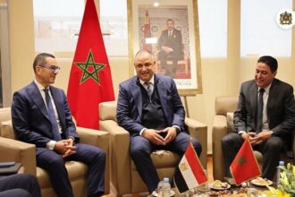 Commerce Maroc–Égypte : les secteurs et entreprises qui participent à la mission économique au Caire