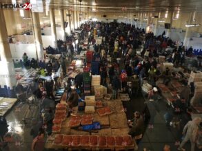 Reportage. Les sardines vendues entre 2 DH et 12,50 DH au marché de gros de Casablanca