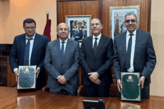 L’ANEF et Eucaforest s’allient pour innover dans les plantations forestières