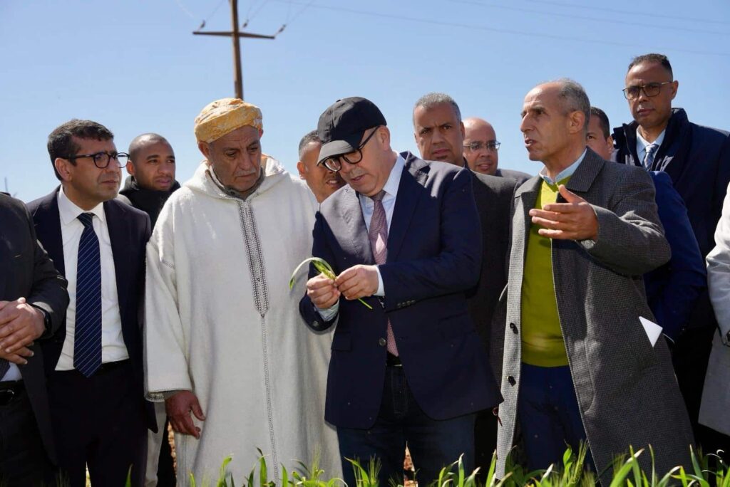 Céréales. La région Fès-Meknès espère une récolte meilleure que prévu après les récentes pluies