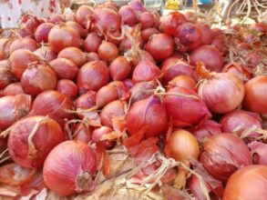 La flambée des prix de l’oignon sec se poursuit, le manque d'infrastructures de stockage en cause