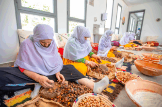 L'huile d’argan en danger, entre contrefaçon, spéculation et sécheresse