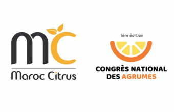 Marrakech accueillera le 1er Congrès national des agrumes du 13 au 15 mai