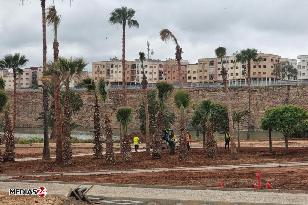 Entretien exclusif avec Nabila Rmili : &ldquo;Nous bâtissons un Casablanca plus vert, plus fluide et plus résilient&rdquo;