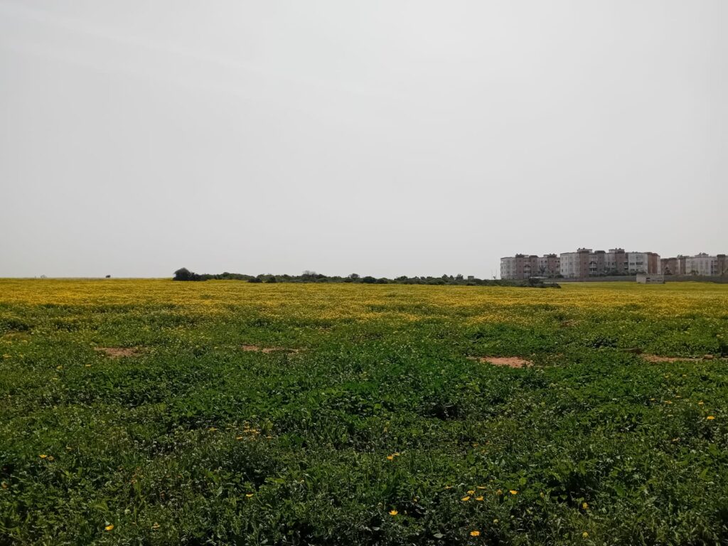 Les prévisions météo pour le dimanche 20 avril 2025