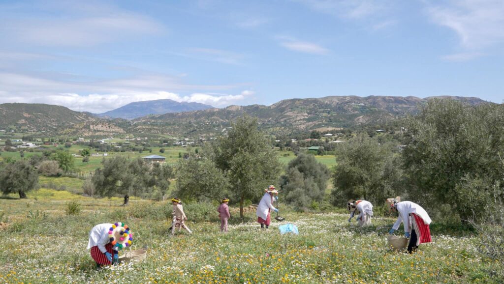 Fondation OCP : 89.000 bénéficiaires dans 13 pays et 221 projets portés en 2024